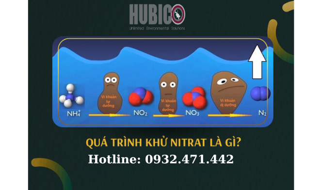 QUÁ TRÌNH CHUYỂN HÓA NITO TRONG NƯỚC THẢI