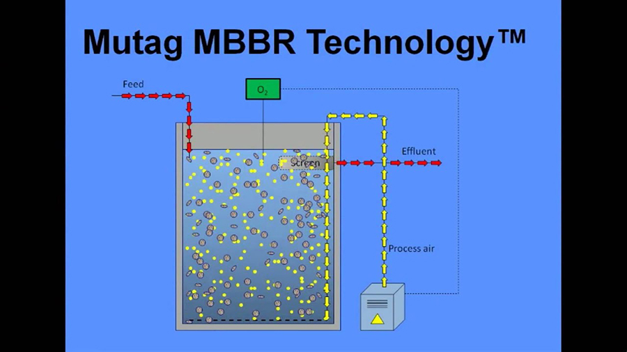 Cách chọn đệm vi sinh MBBR Biochip phù hợp